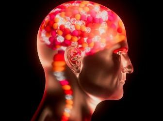 Stress Management and Emotional Resilience: What Neuroscience Can Teach Us About Staying Calm Under Pressure